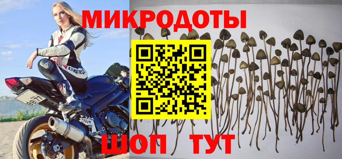 Галлюциногенные грибы Magic Shrooms Алапаевск